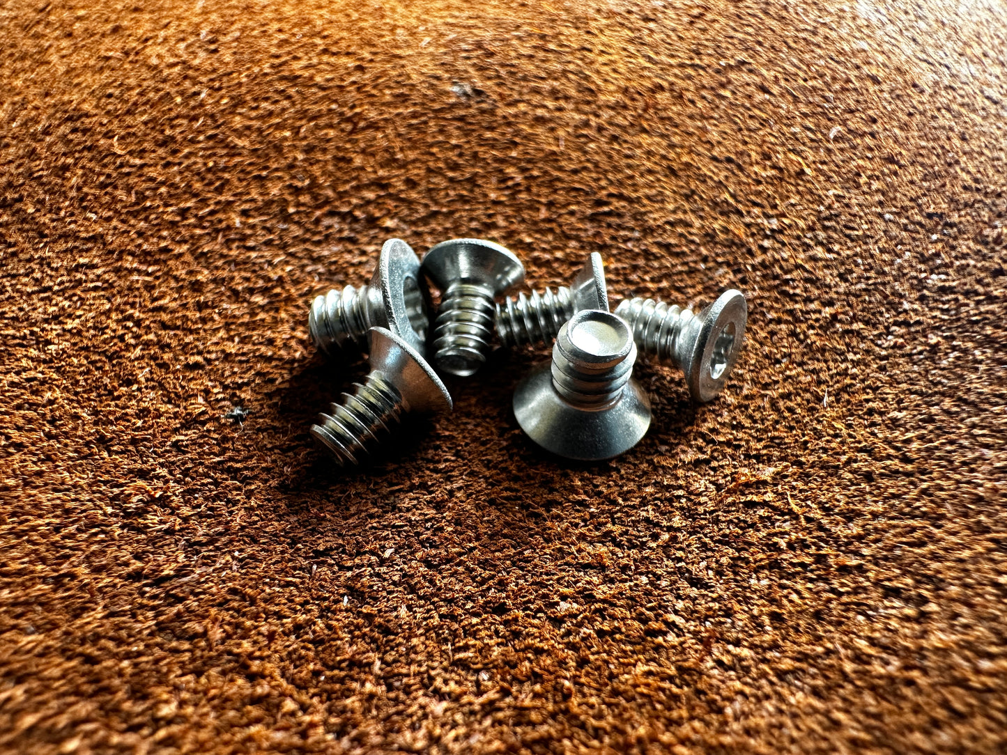 Spyderco Stainless Steel Screw Set