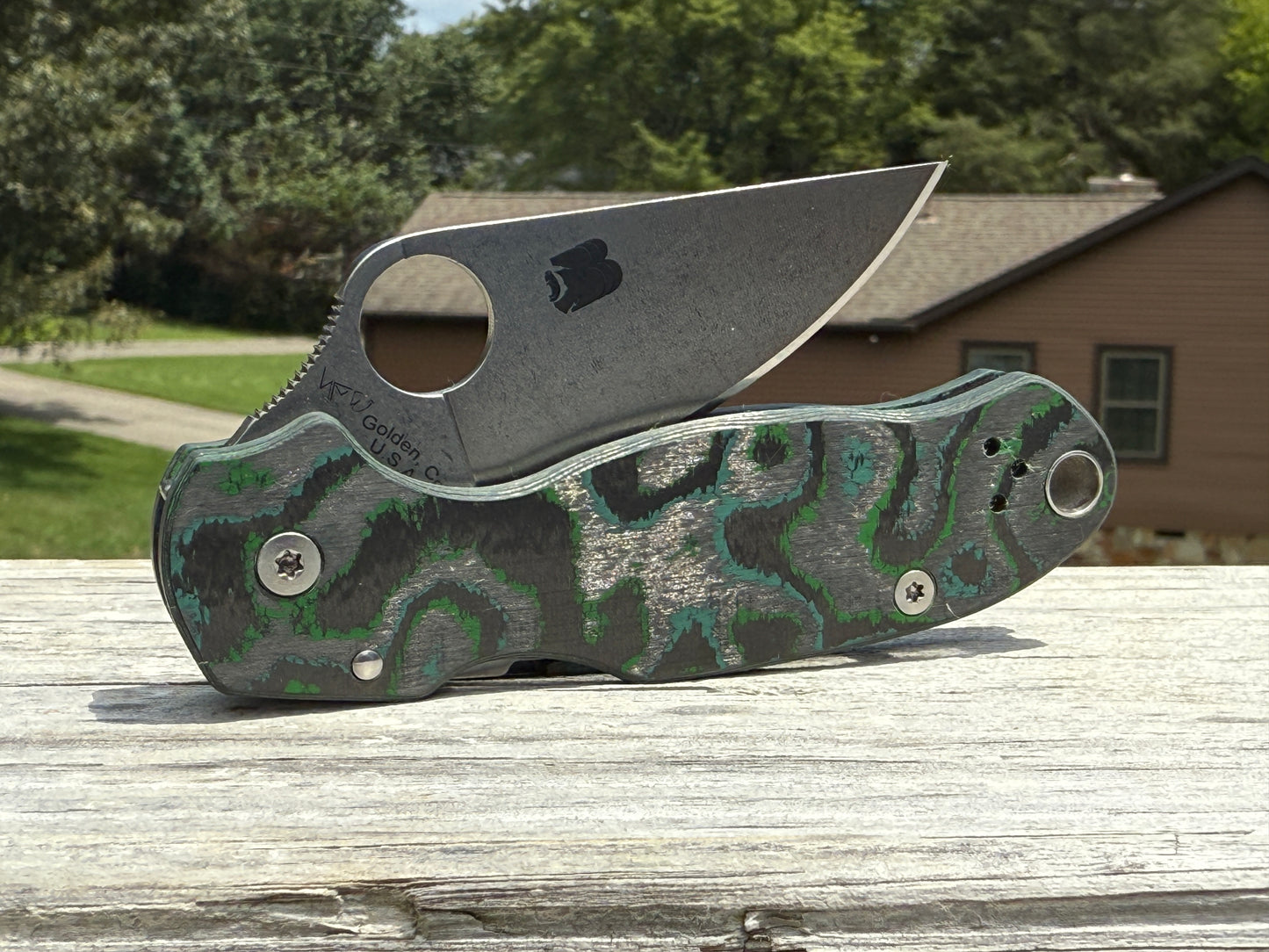 Kelp Bed CamoCarbon Scales for Spyderco Para 3